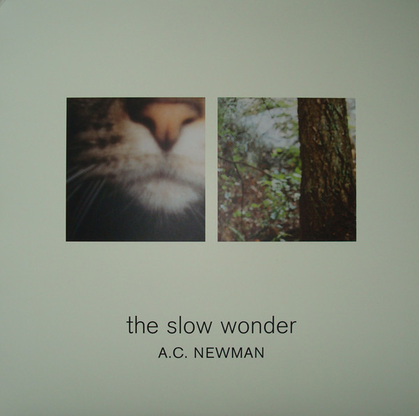 A.C. Newman: The Slow Wonder (2004)